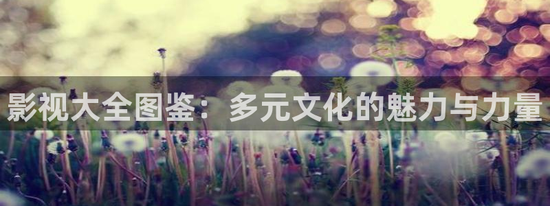 大地资源第七页在线观看高清版：影视大全图鉴：多元文化的魅力与力量