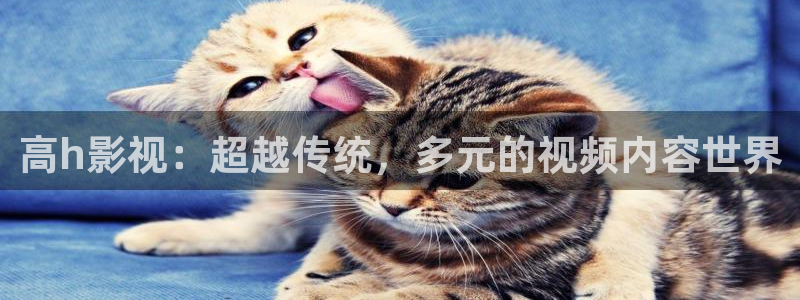 第七午夜影院：高h影视：超越传统，多元的视频内容世界