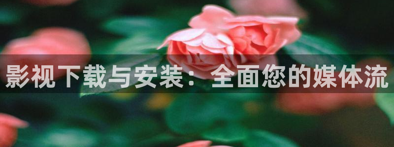 第七色影院最新地址：影视下载与安装：全面您的媒体流