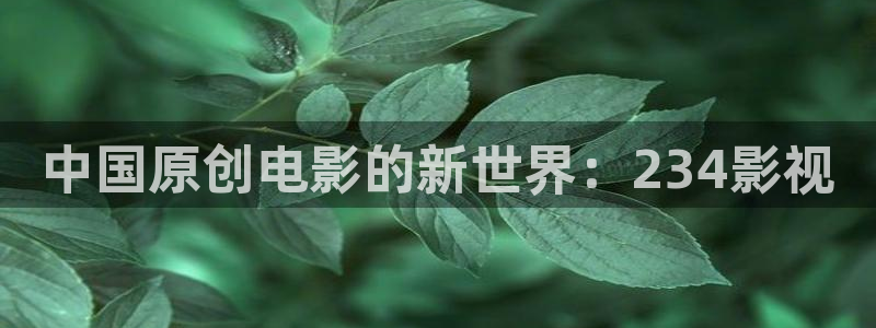 花花影院第七：中国原创电影的新世界：234影视