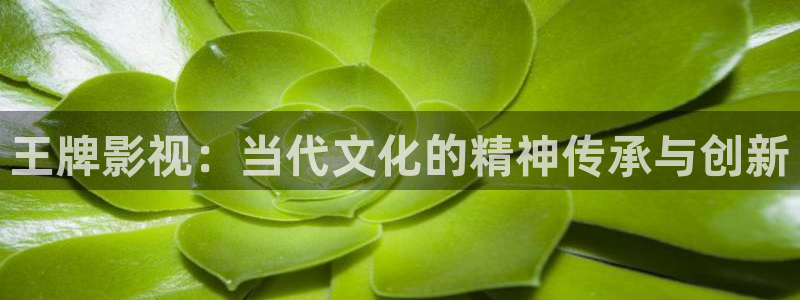 花花影院第七电影院：王牌影视：当代文化的精神传承与创新