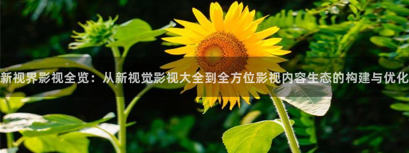 第七影院午夜：新视界影视全览：从新视觉影视大全到全方位影视内容生态的构建与优化
