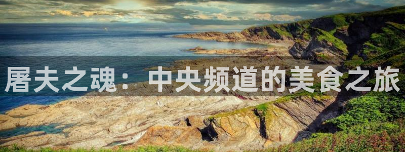 第七九影院：屠夫之魂：中央频道的美食之旅