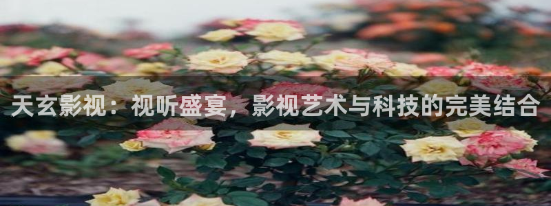 花花影院第七影院16：天玄影视：视听盛宴，影视艺术与科技的完美结合
