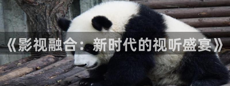 神马电影网第七影院：《影视融合：新时代的视听盛宴》