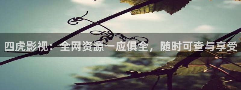 第七影院花花影院：四虎影视：全网资源一应俱全，随时可查与享受